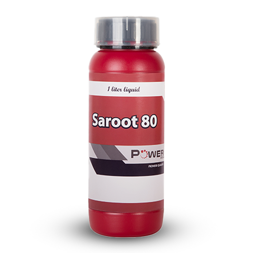 Power-Saroot80