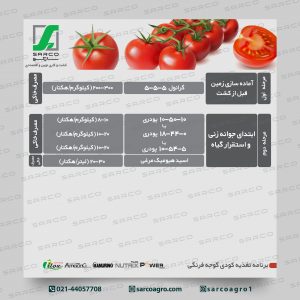 برنامه غذایی گوجه فرنگی (01)