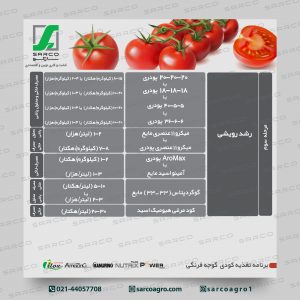 برنامه غذایی گوجه فرنگی (2)