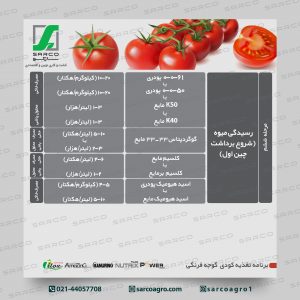 برنامه غذایی گوجه فرنگی (5)