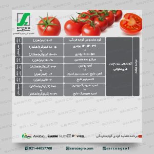 برنامه غذایی گوجه فرنگی (6)